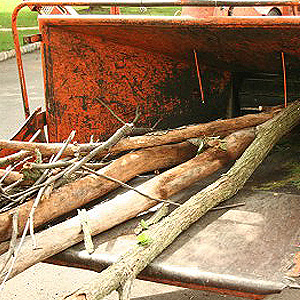 Tree Services Ayrshire